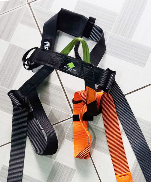 Pandion-harness Pandion-harness